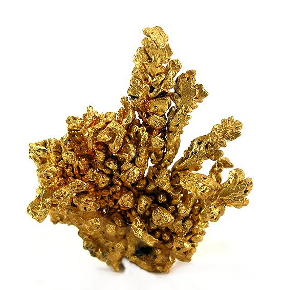 Native gold, the California state mineral