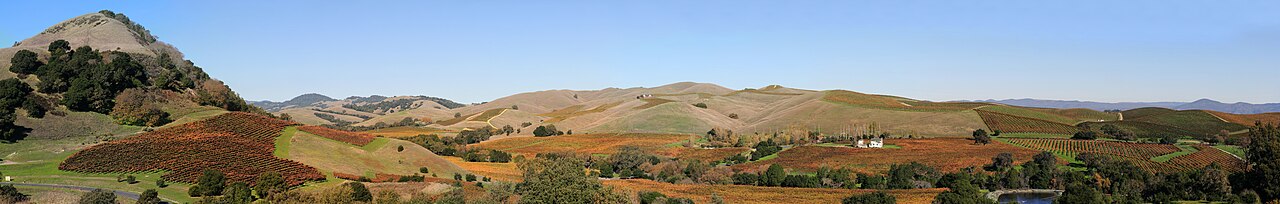 Panorama of vineyards and rolling hills in Napa Valley, Napa County, California