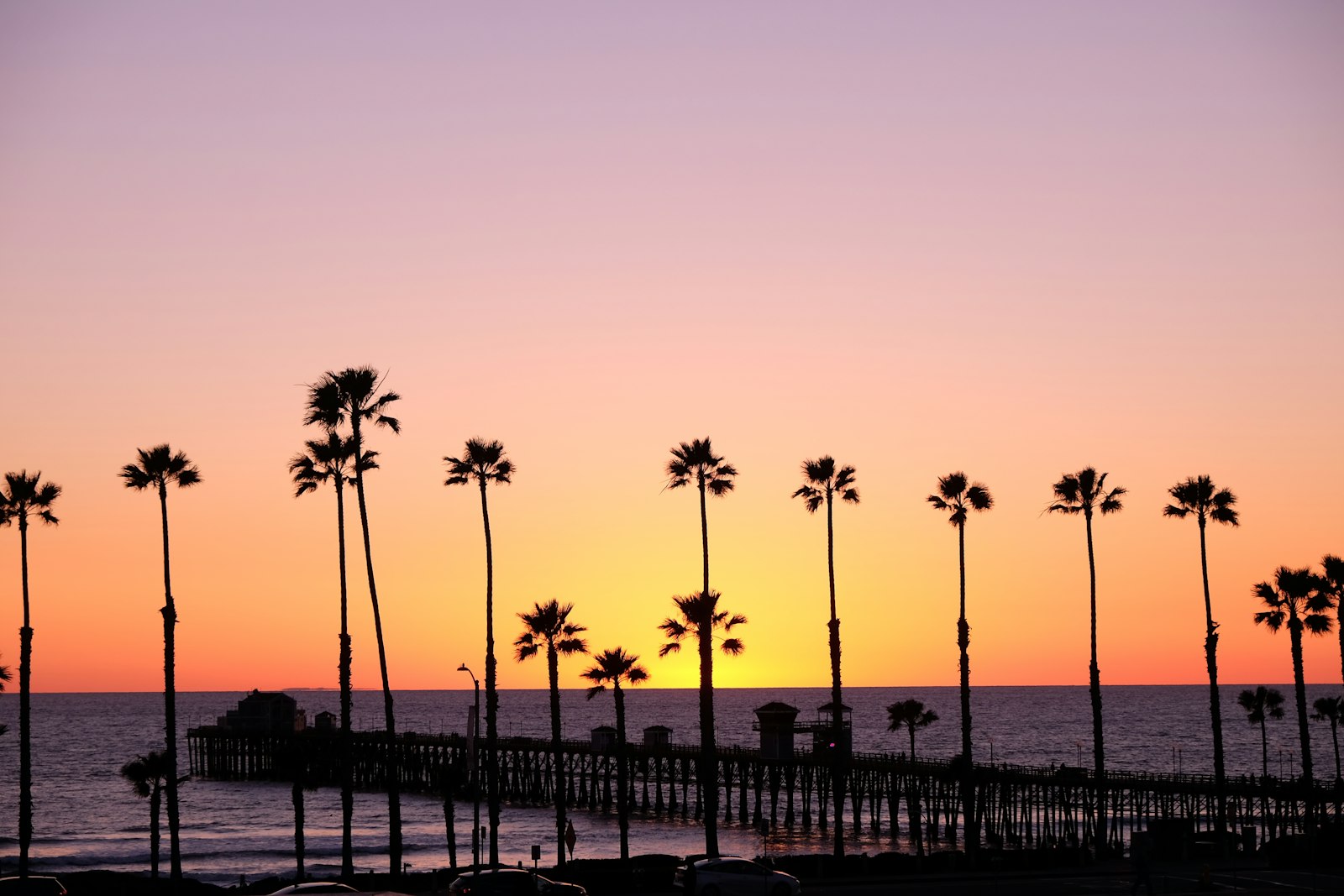 Oceanside pier and palm trees silhouetted at sunset, Oceanside, California
